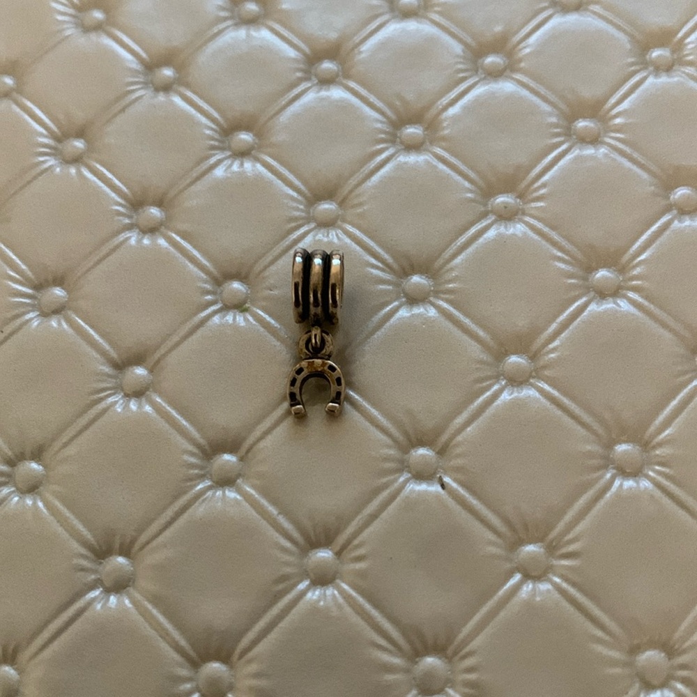Pandora Charm